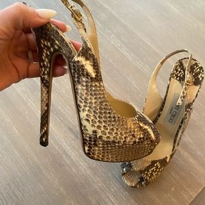 Jimmy Shoe Snake Skin shoes